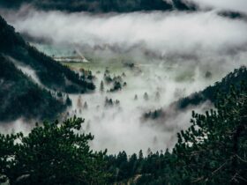 Top Hill Stations in India That Tourists Haven't Discovered Yet - Photo by Krivec Ales on Pexels