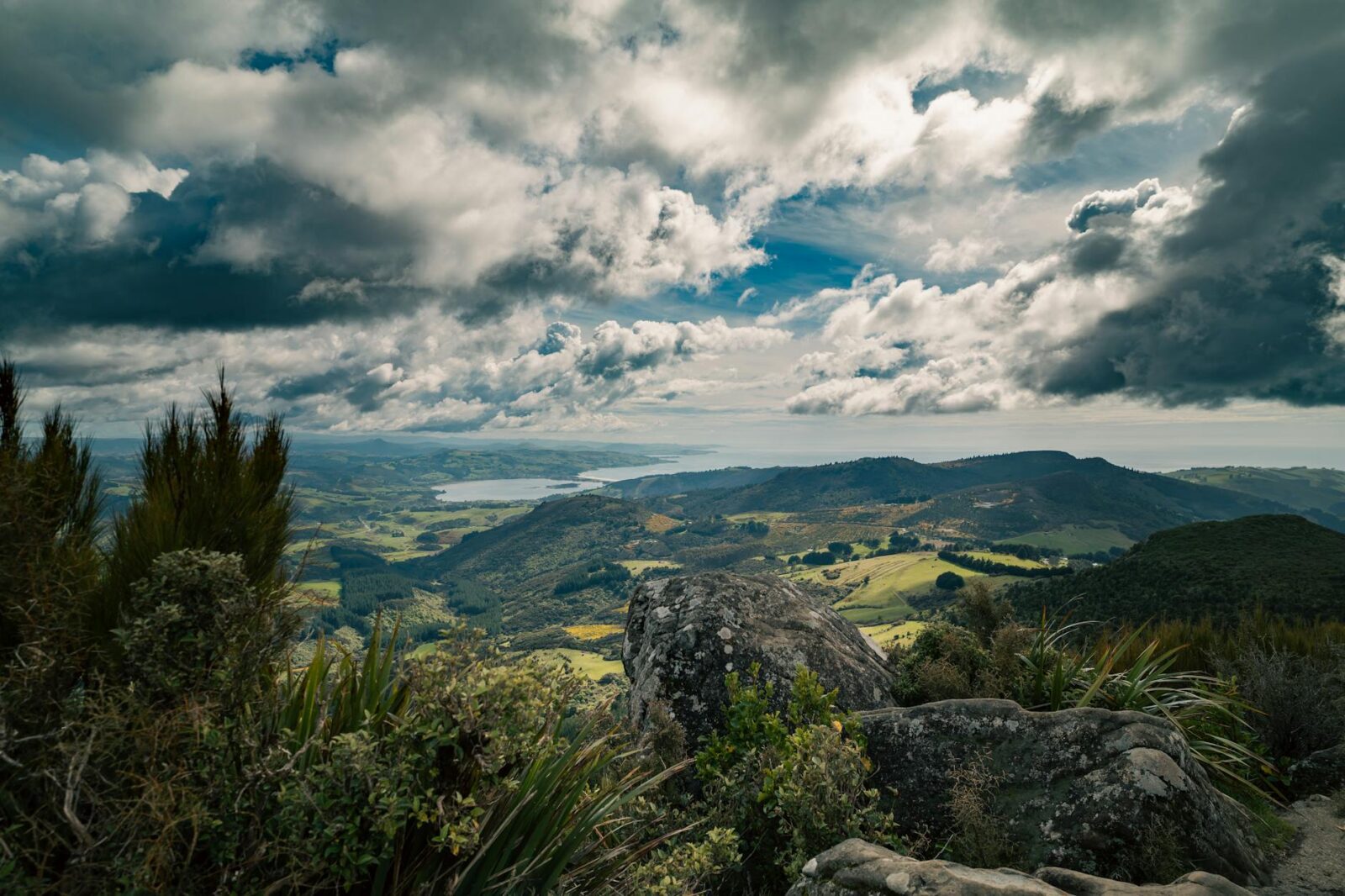 One year on: AIP visa closes in on $4b committed to NZ - Photo by Donovan Kelly on Pexels