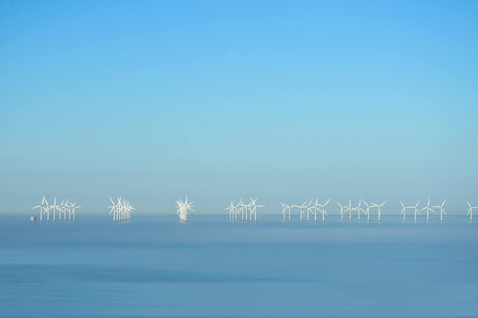 Companies agree to stronger workers’ rights in clean energy - Photo by Bri Schneiter on Pexels