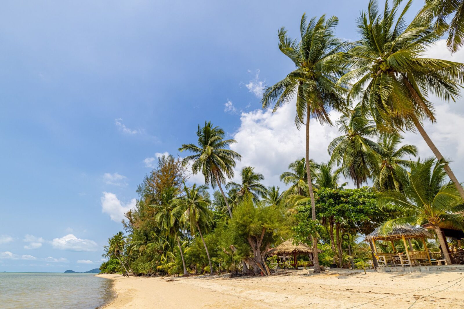 Visa Free Countries for Indian Passport Holders 2026 — Updated Guide - Photo by Balazs Simon on Pexels