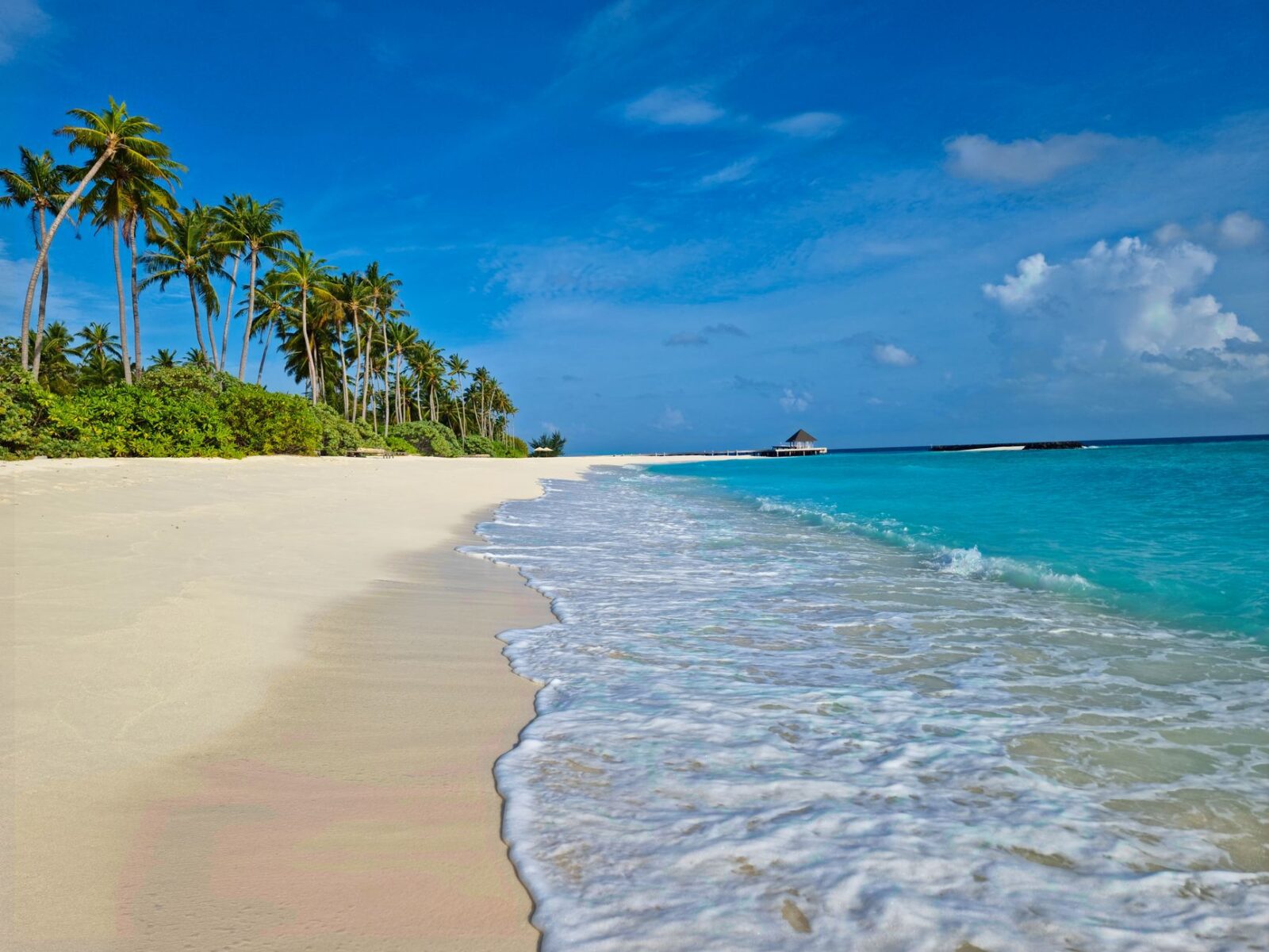 10 Unique Countries Without Land Borders You Should Know About - Photo by Geek Wandering on Pexels