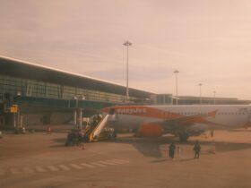 TAP Air Portugal Discount Codes June 2026 - Photo by Vitor Lopes on Pexels