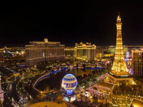 best hotels in paris - Photo by Stephen Leonardi on Pexels