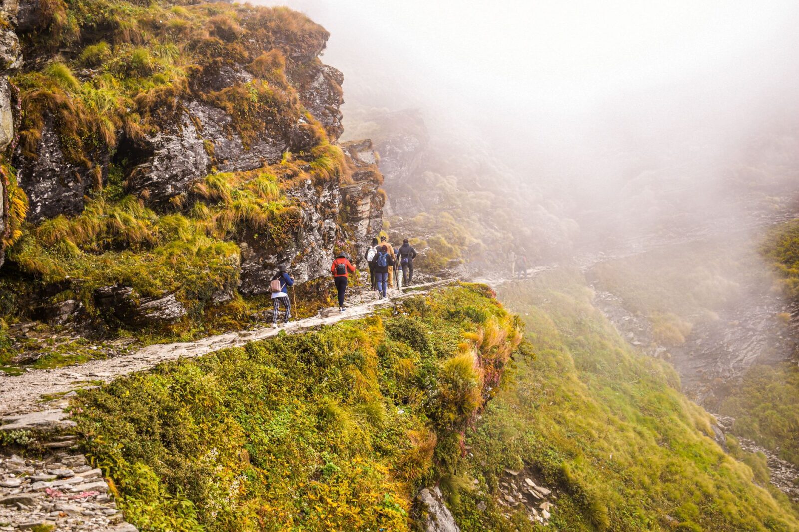 Best Himalayan Trekking Routes for Beginners - Photo by Tanmoy Pal on Pexels