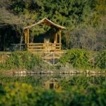 The Healing Power of A Solo Wellness Retreat - Photo by Beyza Oruk on Pexels