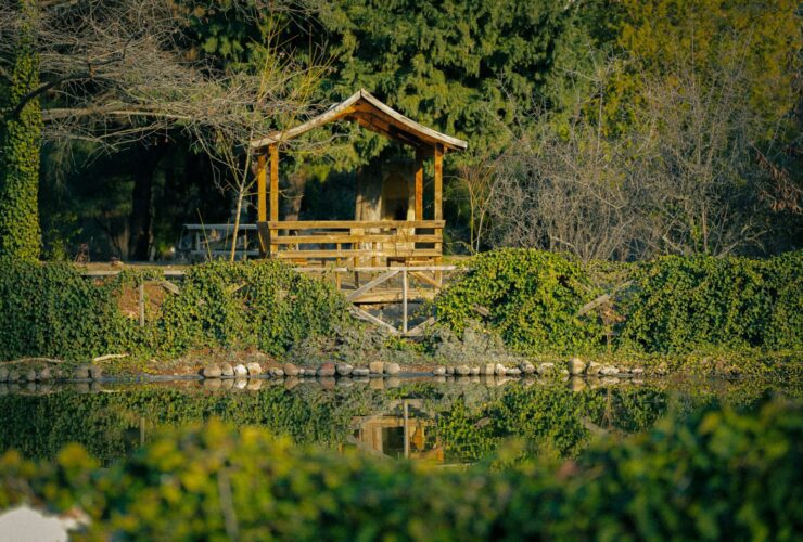 The Healing Power of A Solo Wellness Retreat - Photo by Beyza Oruk on Pexels