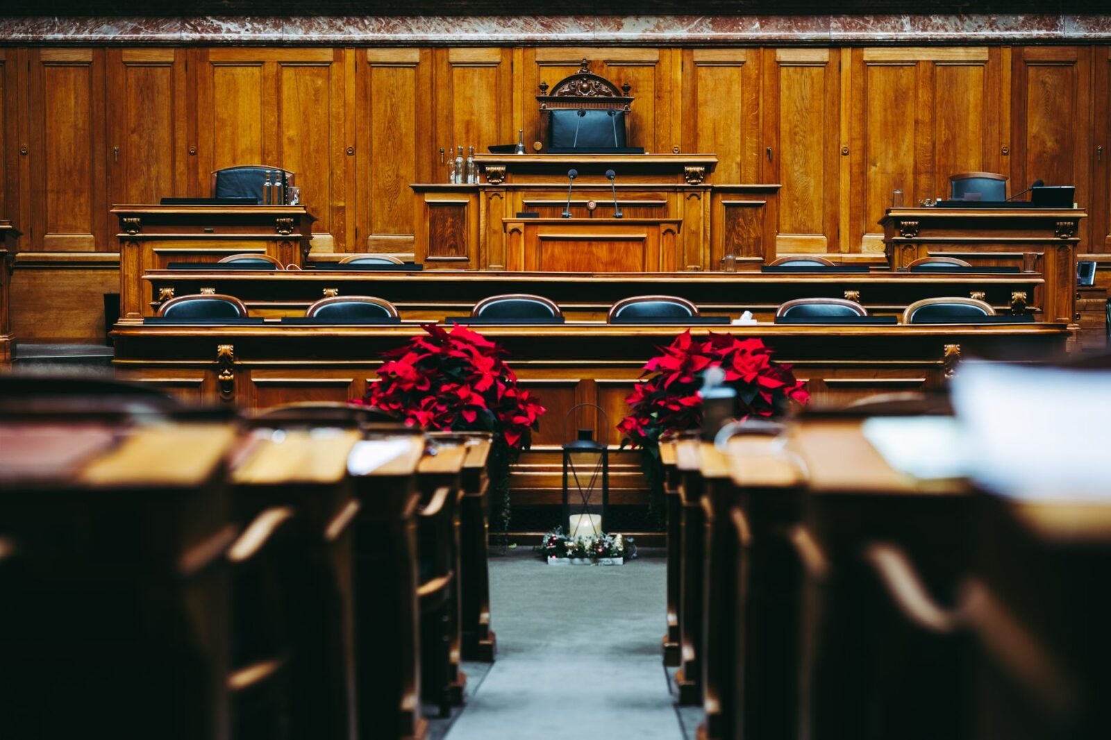 fisa - Photo by Christian Wasserfallen on Pexels