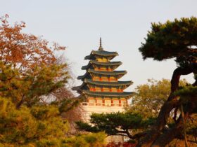 South Korea Becomes Asia’s Rising Tourism Giant As Foreign Tourist Spending Reaches Unprecedented $913 Million In May, Fuelled By Global Visitors, BTS Effect, Korean Cultural Influence And A Powerful Recovery Of International Travel - Photo by 대정 김 on Pexels