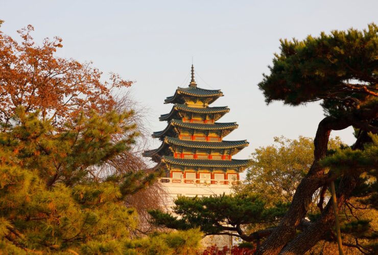 South Korea Becomes Asia’s Rising Tourism Giant As Foreign Tourist Spending Reaches Unprecedented $913 Million In May, Fuelled By Global Visitors, BTS Effect, Korean Cultural Influence And A Powerful Recovery Of International Travel - Photo by 대정 김 on Pexels