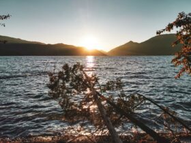 Hidden Gem Destinations Cheaper Than You Think - Photo by Anjan Karki on Pexels
