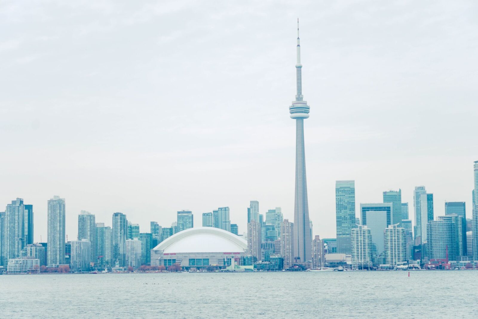 Parliamentary Secretary Fragiskatos to make an announcement in Toronto - Photo by Lucas George Wendt on Pexels