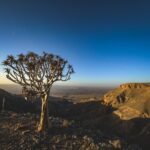 namibia visa on arrival - Photo by Francesco Ungaro on Pexels