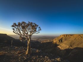 namibia visa on arrival - Photo by Francesco Ungaro on Pexels