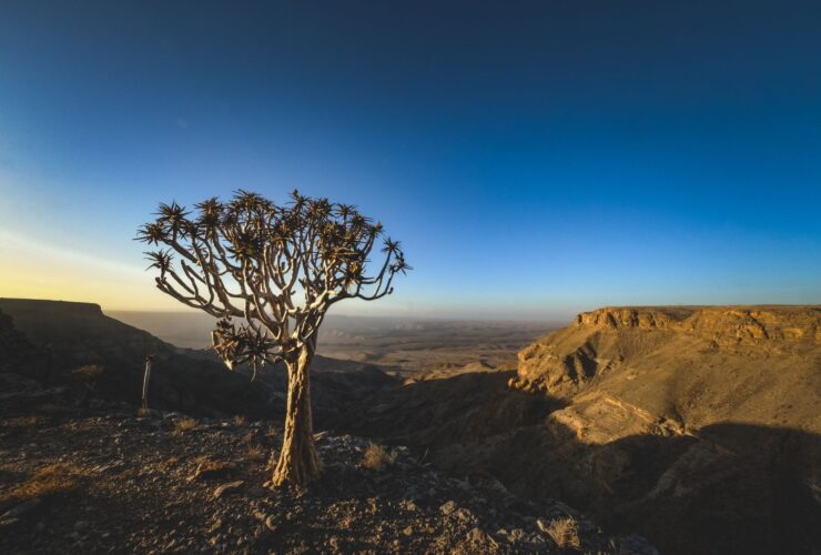 namibia visa on arrival - Photo by Francesco Ungaro on Pexels