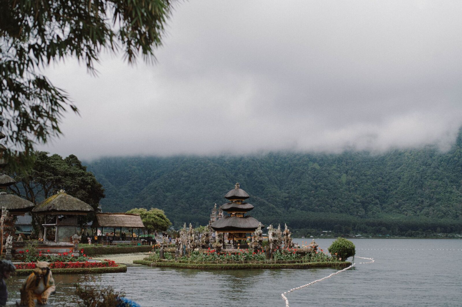 bali visa on arrival - Photo by Lucas Tran on Pexels