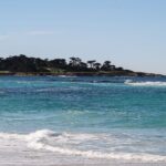 7 California-Cool Hotels Near the Monterey Bay Aquarium - Photo by Kinley Lindsey on Pexels