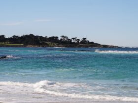 7 California-Cool Hotels Near the Monterey Bay Aquarium - Photo by Kinley Lindsey on Pexels