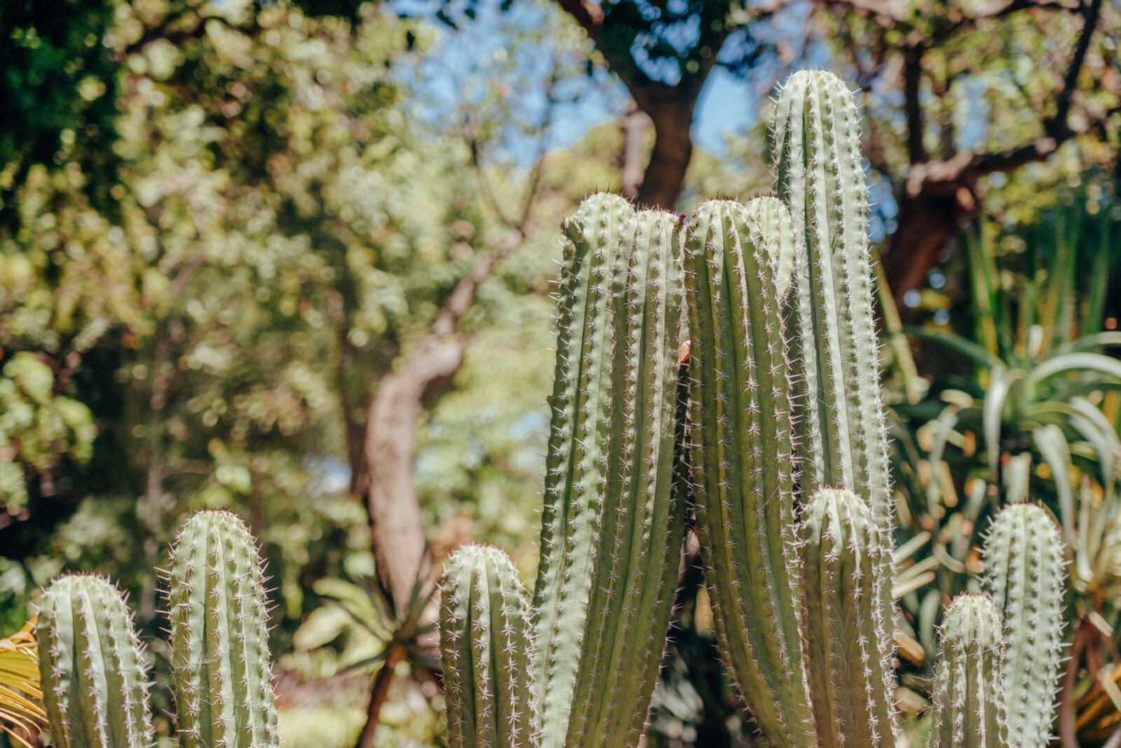 old farmers almanac august weather - Photo by Atlantic Ambience on Pexels