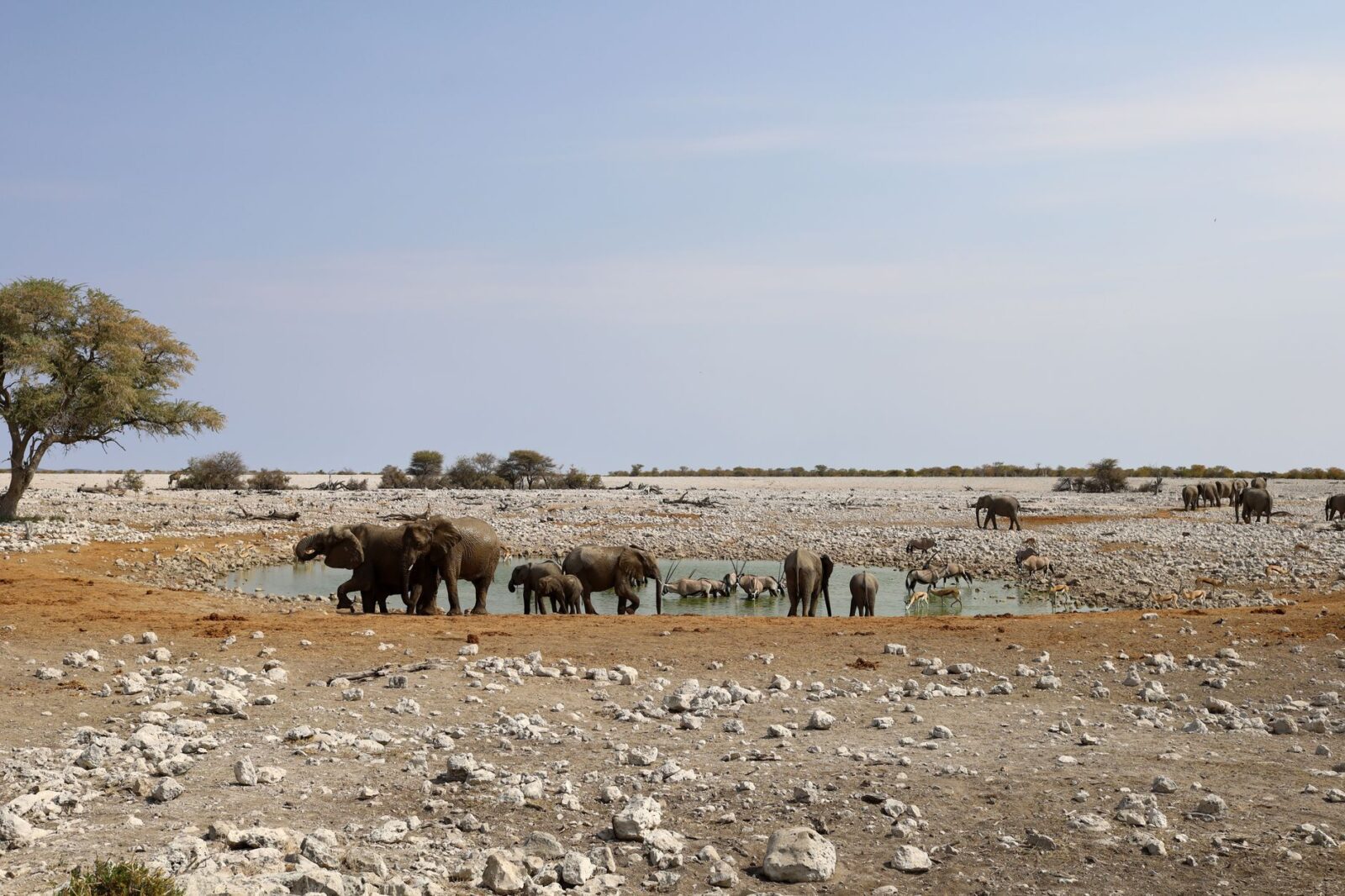 namibia visa on arrival - Photo by Rino Adamo on Pexels