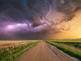 old farmers almanac august weather - Photo by Branden Stephenson on Pexels