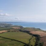 Seaweed surveys discover species never seen before and new to science - Photo by Howard Senton on Pexels