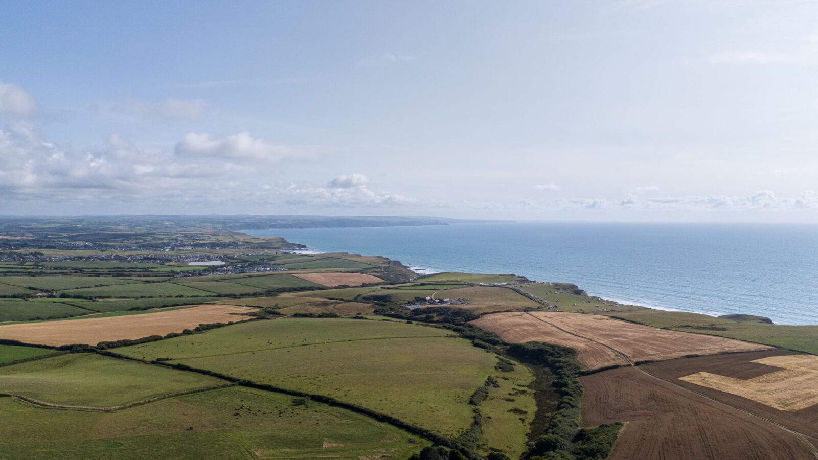 Seaweed surveys discover species never seen before and new to science - Photo by Howard Senton on Pexels