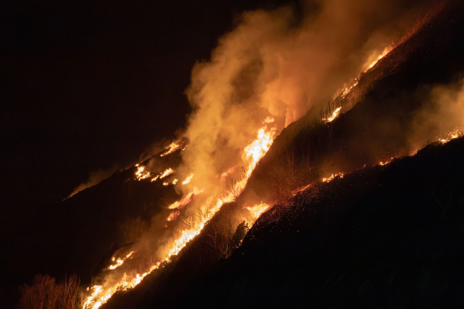 reno fire - Photo by Andreas Berget on Pexels