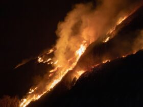 reno fire - Photo by Andreas Berget on Pexels