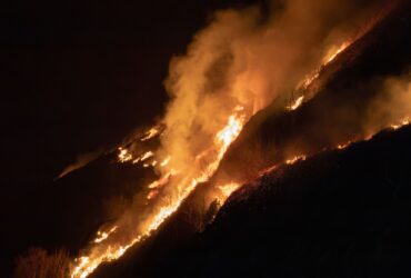reno fire - Photo by Andreas Berget on Pexels