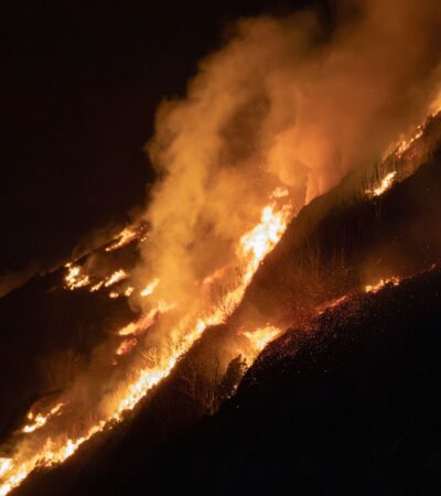 reno fire - Photo by Andreas Berget on Pexels