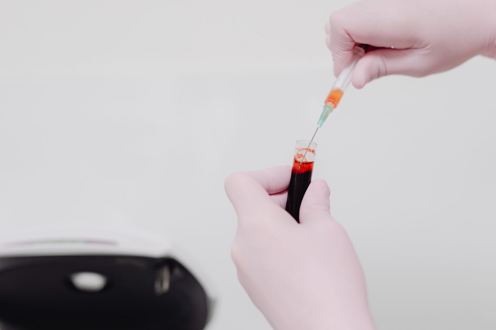 Bluetongue virus: from reporting to results - Photo by https://kaboompics.com/ on Pexels