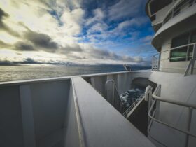 cruise travel insurance - Photo by Francesco Ungaro on Pexels