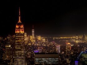 NYC’s Best Bars, From Haute Hotel Lobbies to Intimate Listening Rooms - Photo by Ira D-k on Pexels
