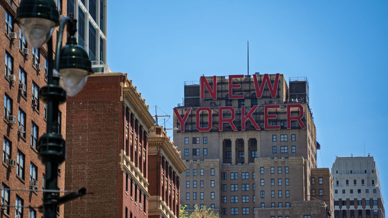 How Net Unit Growth Ate the Hotel Industry - Photo by Andres Figueroa on Pexels