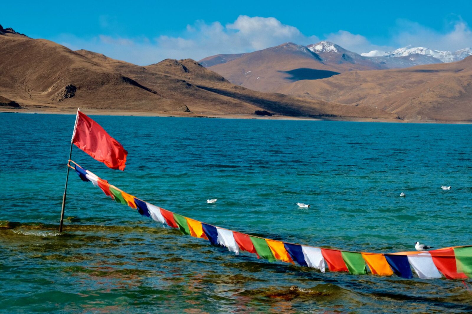 Best Himalayan Trekking Routes for Beginners — Updated Guide - Photo by Martin Chan on Pexels