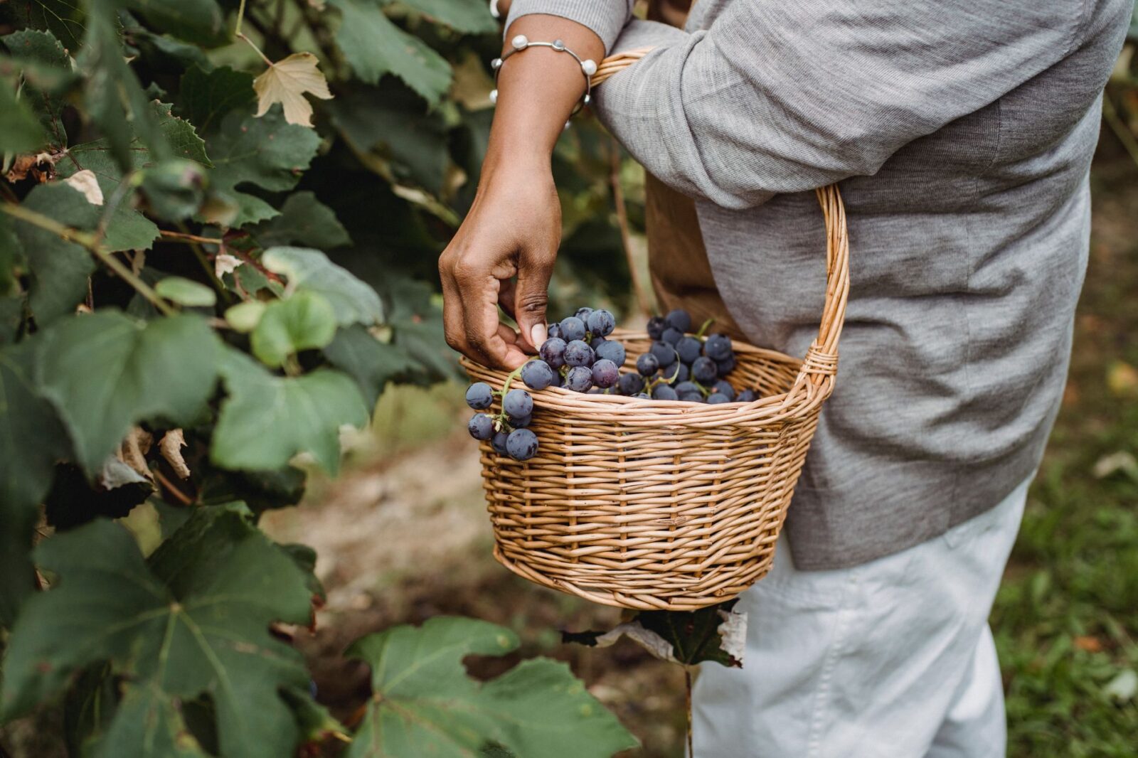 Simpler, clearer, more effective RSE scheme - Photo by Zen Chung on Pexels