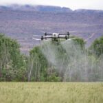 Robot revolution hits the fields as £20 million funding announced - Photo by Magda Ehlers on Pexels