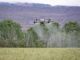 Robot revolution hits the fields as £20 million funding announced - Photo by Magda Ehlers on Pexels