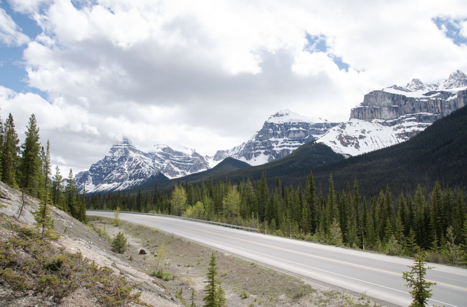 Amtrak Vacations Unveils Major National Park Savings Across Iconic US Destinations - Photo by John De Leon on Pexels