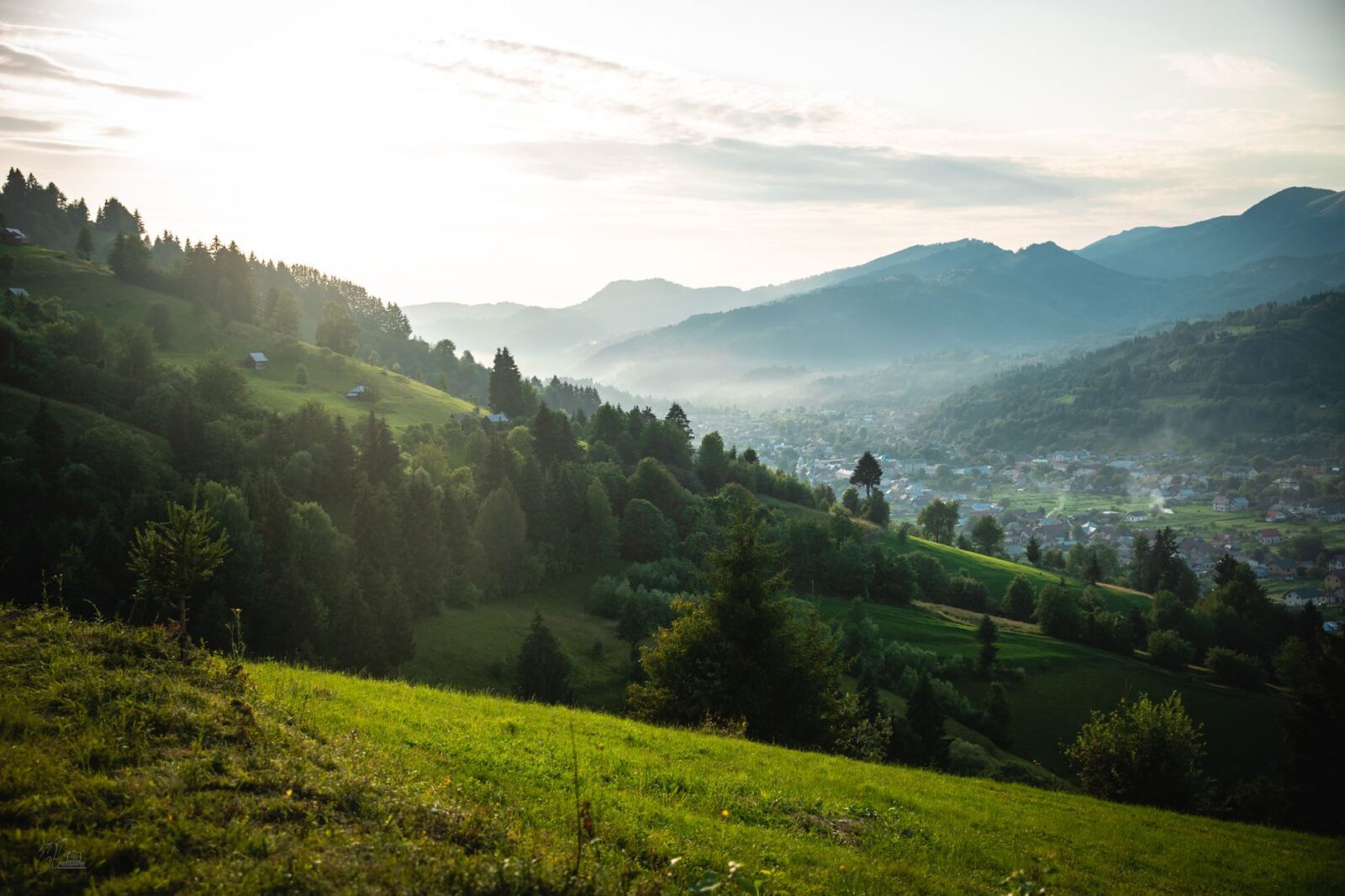 Top Hill Stations in India That Tourists Haven't Discovered Yet - Photo by Radu Daniel ( MRD ) on Pexels