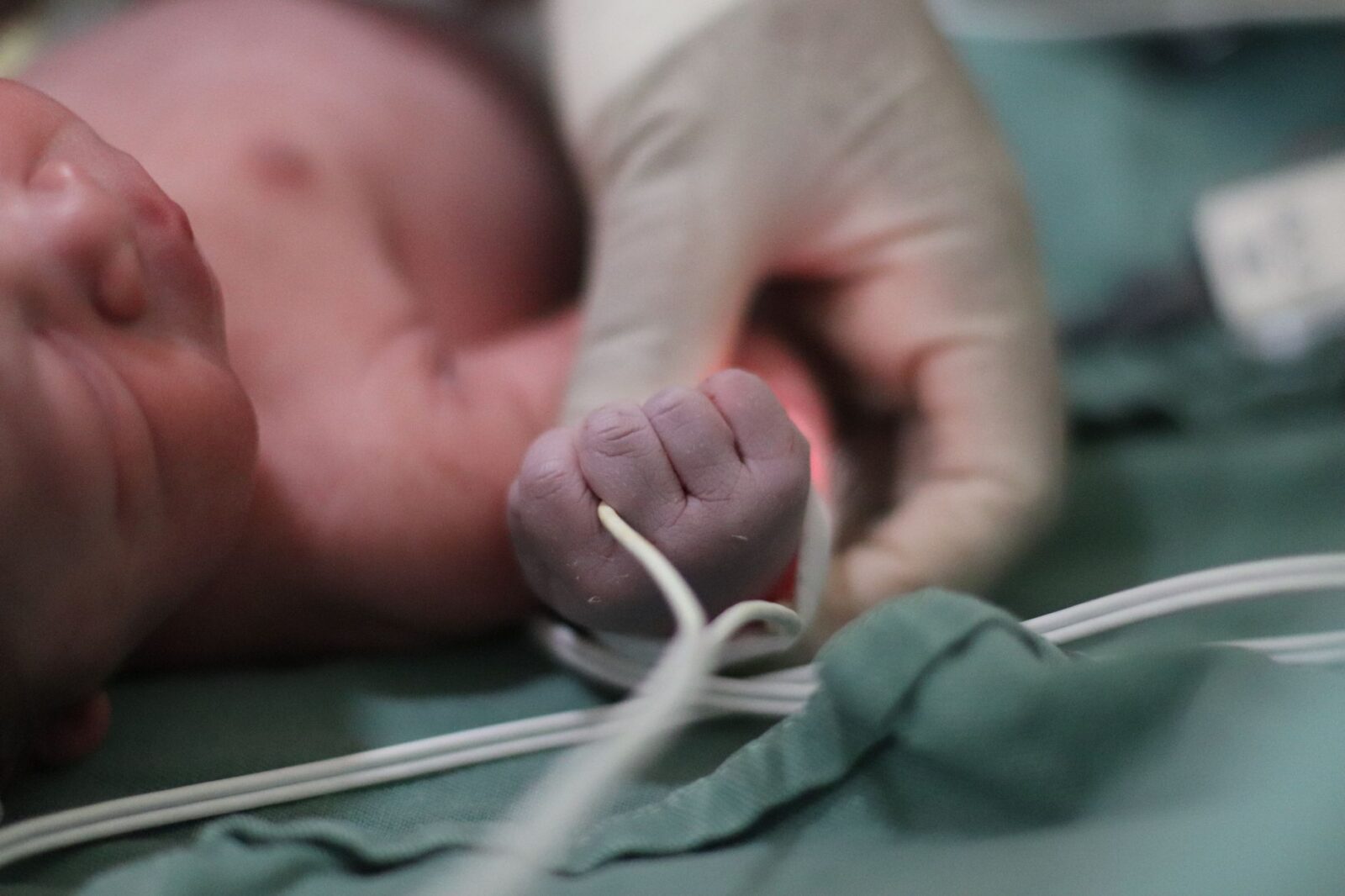 Newborn ICU admissions drop 50% in first full year of RSV maternal vaccine programme - Photo by Gabi Orrico on Pexels