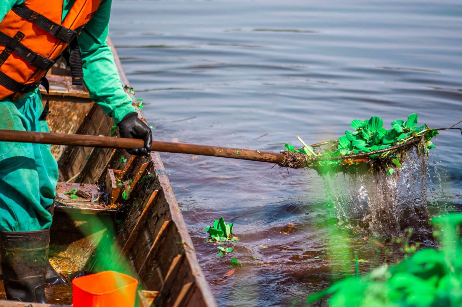 Cornwall man arrested in Environment Agency waste crime operation - Photo by Rodolfo Gaion on Pexels