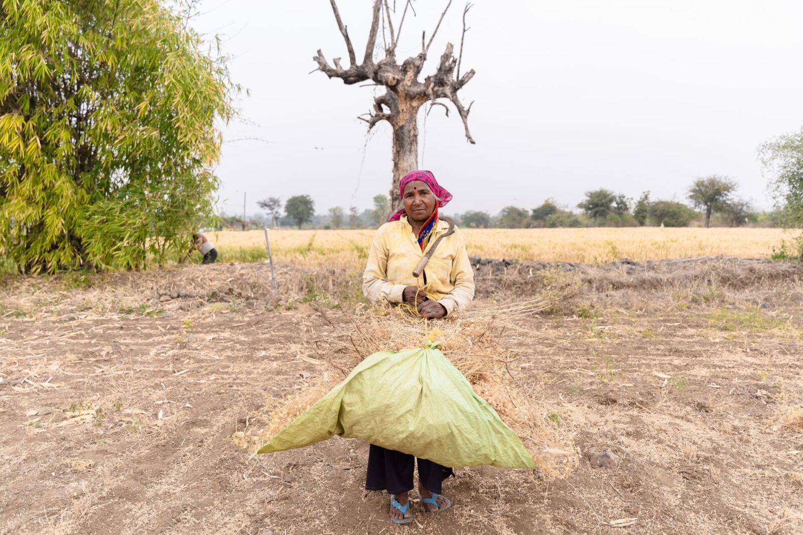 PM: Farmers should not carry the risk of a changing climate alone - Photo by EqualStock IN on Pexels
