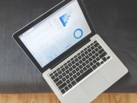 New digital service for local authority EPR for packaging grants - Photo by Lukas Blazek on Pexels