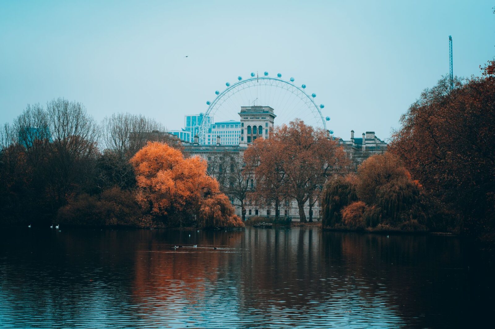 Asylum and immigration – briefing note - Photo by Szymon Shields on Pexels