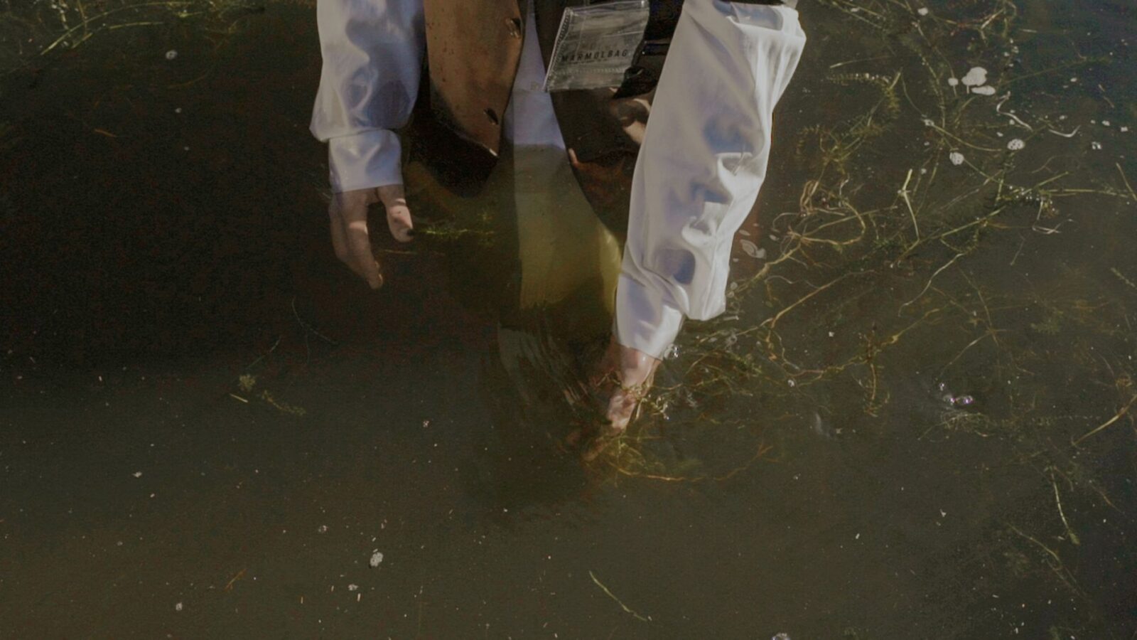 Two men arrested after illegal waste dumping in Cheshire - Photo by Amar  Preciado on Pexels