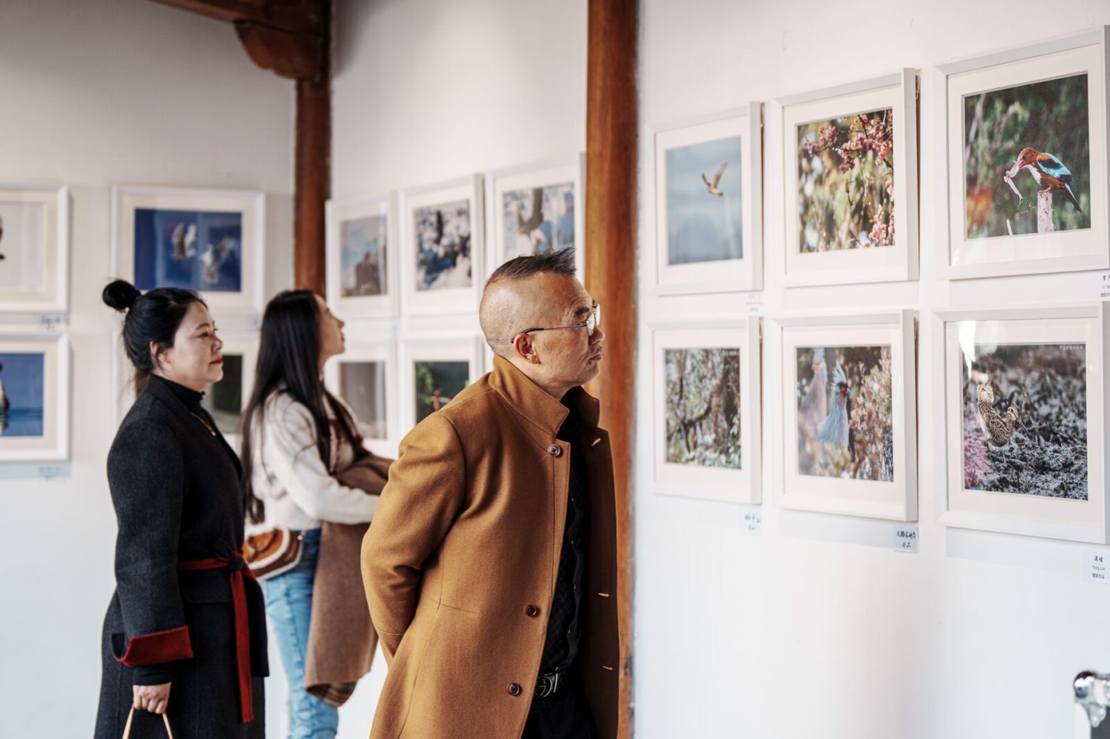 World-renowned wildlife photography exhibition opens in Honiara - Photo by dsdcw on Pexels