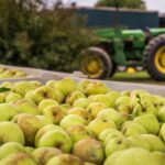 Simpler, clearer, more effective RSE scheme - Photo by Mark Stebnicki on Pexels