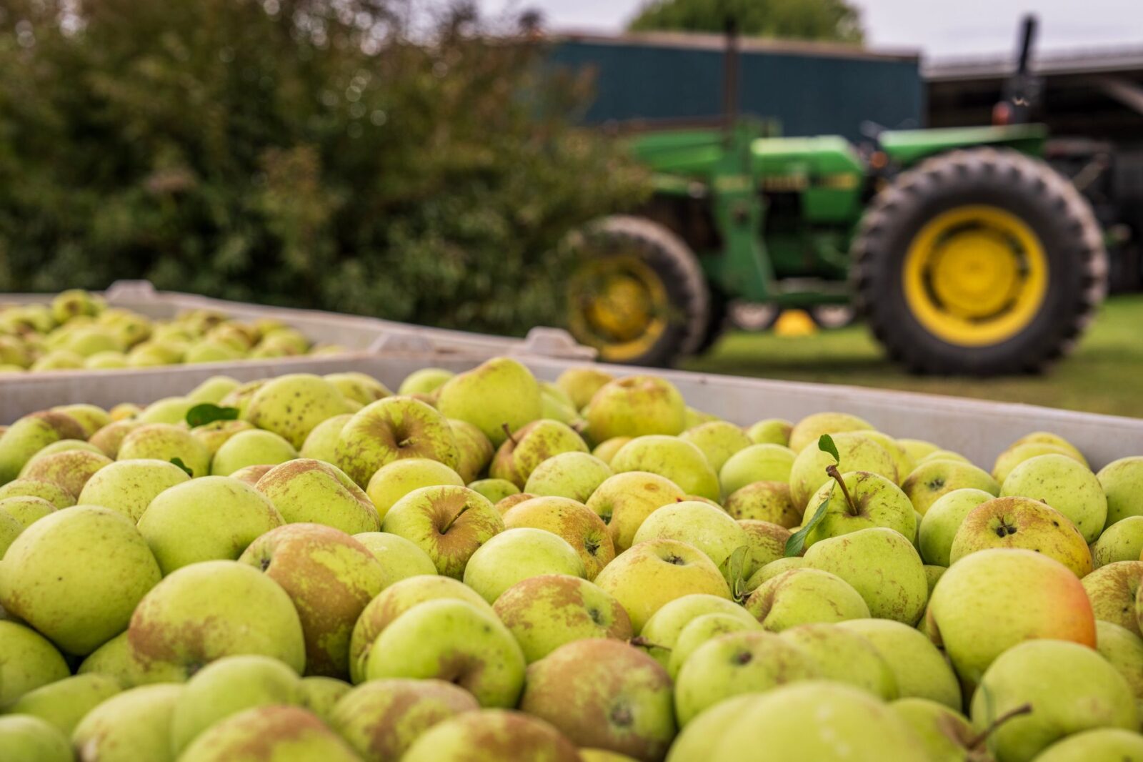 Simpler, clearer, more effective RSE scheme - Photo by Mark Stebnicki on Pexels