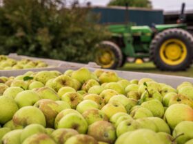Simpler, clearer, more effective RSE scheme - Photo by Mark Stebnicki on Pexels